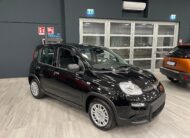 FIAT PANDA 1.0 70CV HYBRID PANDINA 14/11/24 KM0 – MP MOTORS