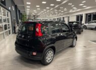 FIAT PANDA 1.0 70CV HYBRID PANDINA 14/11/24 KM0 – MP MOTORS